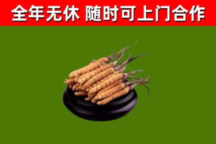 通辽市烟酒回收冬虫夏草.jpg
